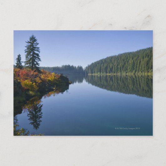 USA, Oregon, Clear Lake Postkarte (Vorderseite)