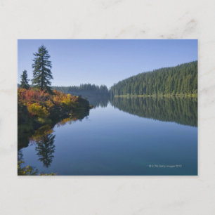 USA, Oregon, Clear Lake Postkarte