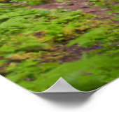 USA, Oregon, Columbia River Gorge 3 Poster (Ecke)