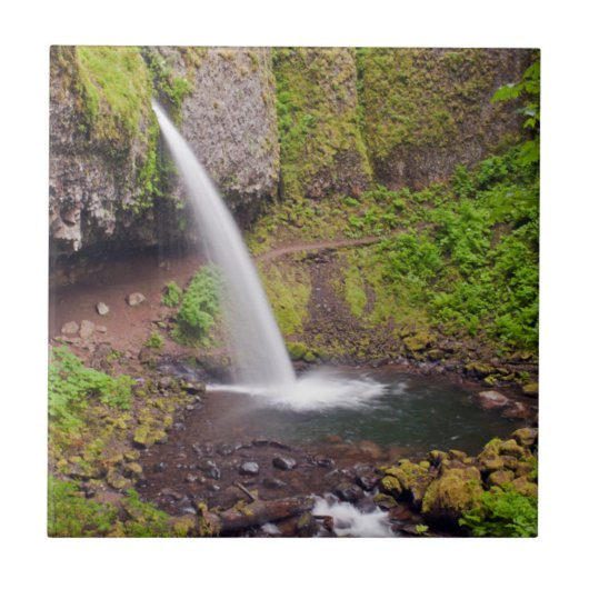 USA, Oregon, Columbia River Gorge 4 Fliese (Vorderseite)