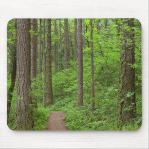 USA, Oregon, Columbia River Gorge. Elowah Wasserfa Mousepad