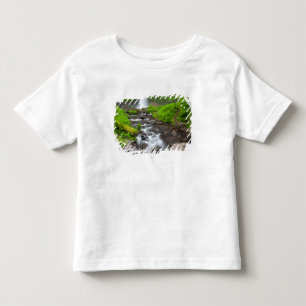 USA, Oregon, Columbia River Gorge, Latourell Kleinkind T-shirt