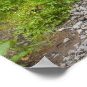 USA, Oregon, Columbia River Gorge, Latourell Poster (Ecke)