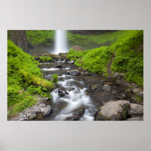 USA, Oregon, Columbia River Gorge, Latourell Poster