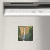 USA, Oregon, Columbia River Gorge, Multnomah Magnet (In Situ (Geschirrspüler))