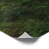 USA, Oregon, Columbia River Gorge, Multnomah Poster (Ecke)
