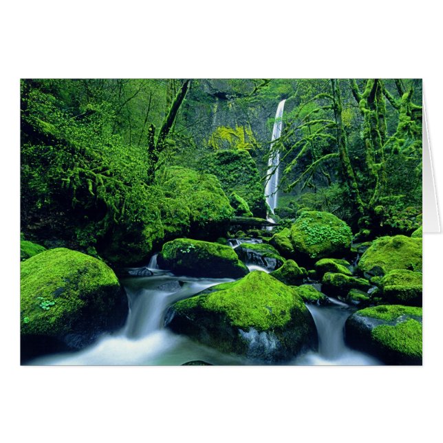 USA, Oregon, Columbia River Gorge National 2 (Vorderseite (Horizontal))