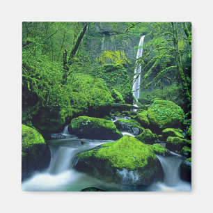 USA, Oregon, Columbia River Gorge National 2 Magnet