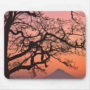 USA, Oregon, Columbia River Gorge National 2 Mousepad
