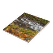 USA, Oregon, Columbia River Gorge, Tanner Creek 2 Fliese (Seite)