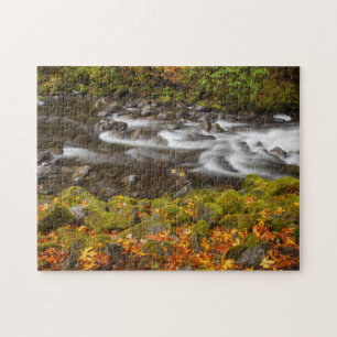 USA, Oregon, Columbia River Gorge, Tanner Creek 2 Puzzle
