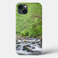 USA, Oregon, Columbia River Gorge, Tanner Creek 4