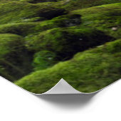 USA, Oregon, Columbia River Gorge, Tanner Creek 4 Poster (Ecke)