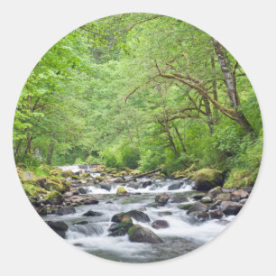 USA, Oregon, Columbia River Gorge, Tanner Creek 4 Runder Aufkleber