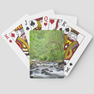 USA, Oregon, Columbia River Gorge, Tanner Creek 4 Spielkarten