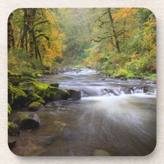USA, Oregon, Columbia River Gorge, Tanner Creek Getränkeuntersetzer (Vorderseite)