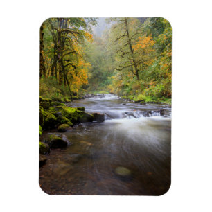USA, Oregon, Columbia River Gorge, Tanner Creek Magnet