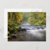 USA, Oregon, Columbia River Gorge, Tanner Creek Postkarte (Vorne/Hinten)