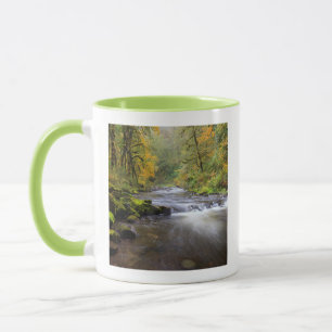 USA, Oregon, Columbia River Gorge, Tanner Creek Tasse