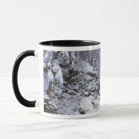 USA, Oregon, Columbia River Gorge Tasse (Links)