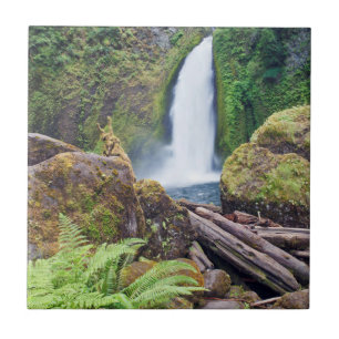 USA, Oregon, Columbia River Gorge, Wahclella Fliese