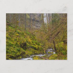 USA, Oregon, Columbia-Schlucht Postkarte
