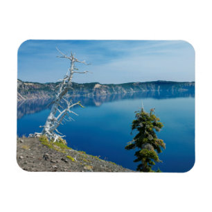 USA, Oregon, Crater Lake National Park 4 Magnet