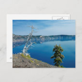 USA, Oregon, Crater Lake National Park 4 Postkarte (Vorne/Hinten)