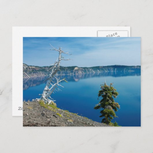 USA, Oregon, Crater Lake National Park 4 Postkarte (Vorne/Hinten)