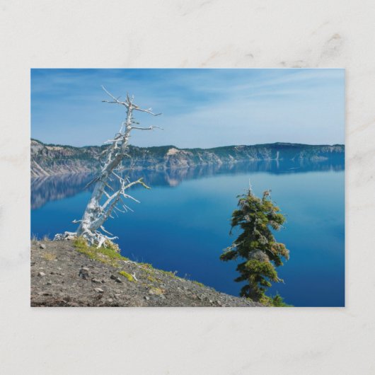USA, Oregon, Crater Lake National Park 4 Postkarte (Vorderseite)