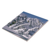 USA, Oregon, Crater Lake NP. Baumbogen unter der Fliese (Seite)