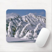USA, Oregon, Crater Lake NP. Baumbogen unter der Mousepad (Mit Mouse)