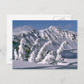 USA, Oregon, Crater Lake NP. Bäume beugen sich unt Postkarte (Vorne/Hinten)