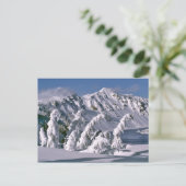 USA, Oregon, Crater Lake NP. Bäume beugen sich unt Postkarte (Stehend Vorderseite)