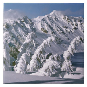 USA, Oregon, Crater-Lake-NP. Bäume biegen sich unt Fliese