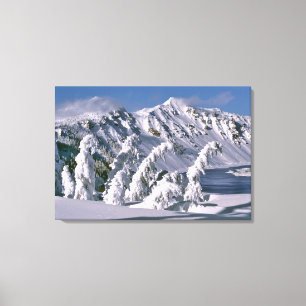 USA, Oregon, Crater-Lake-NP. Bäume biegen sich unt Leinwanddruck