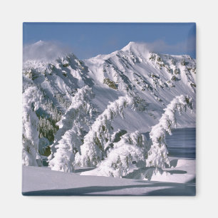 USA, Oregon, Crater-Lake-NP. Bäume biegen sich unt Magnet