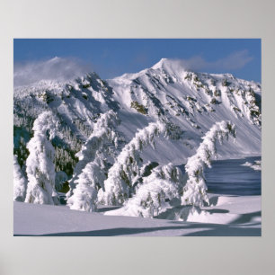 USA, Oregon, Crater-Lake-NP. Bäume biegen sich unt Poster