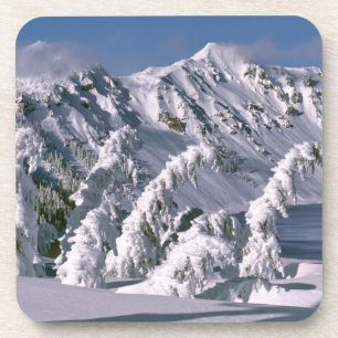 USA, Oregon, Crater-Lake-NP. Bäume biegen sich unt Untersetzer