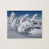 USA, Oregon, Crater Lake NP. Bäume fallen unter Puzzle (Horizontal)