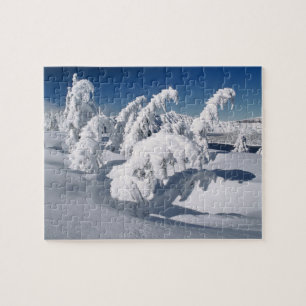 USA, Oregon, Crater Lake NP. Bäume fallen unter Puzzle