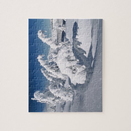 USA, Oregon, Crater Lake NP. Bäume fallen unter Puzzle (Vertikal)