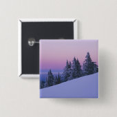 USA, Oregon, Deschutes National Forest, Dusk Button (Vorne & Hinten)