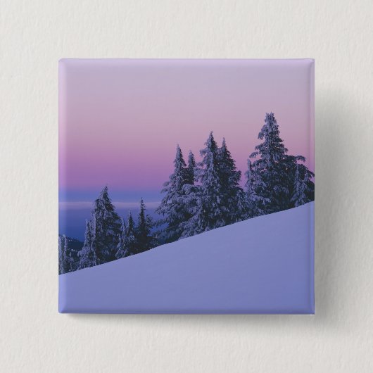 USA, Oregon, Deschutes National Forest, Dusk Button (Vorderseite)