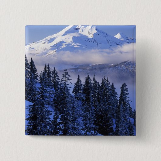 USA, Oregon, Deschutes National Forest, Süd Button (Vorderseite)
