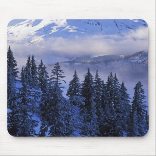USA, Oregon, Deschutes National Forest, Süd Mousepad