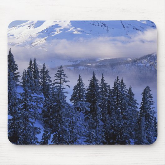 USA, Oregon, Deschutes National Forest, Süd Mousepad (Vorne)
