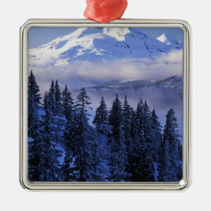 USA, Oregon, Deschutes National Forest, Süd Silbernes Ornament