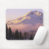 USA, Oregon, Deschutes National Forest, The Mousepad (Mit Mouse)