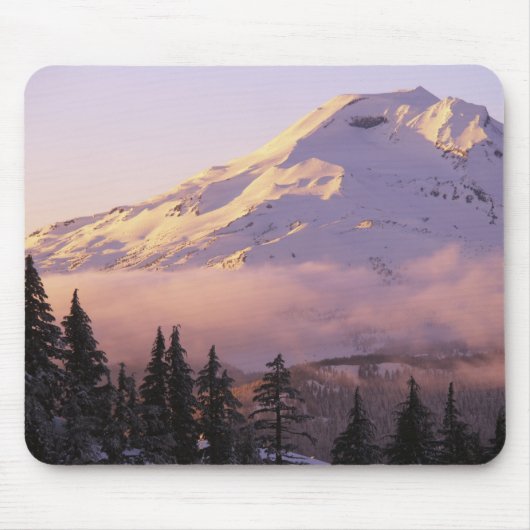USA, Oregon, Deschutes National Forest, The Mousepad (Vorne)